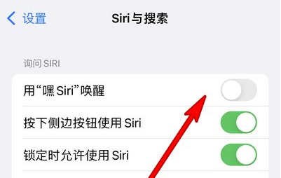 广昌苹果13维修分享iPhone 13怎么唤醒 Siri  